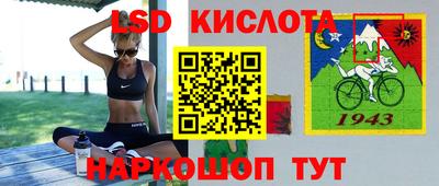 a pvp Славгород