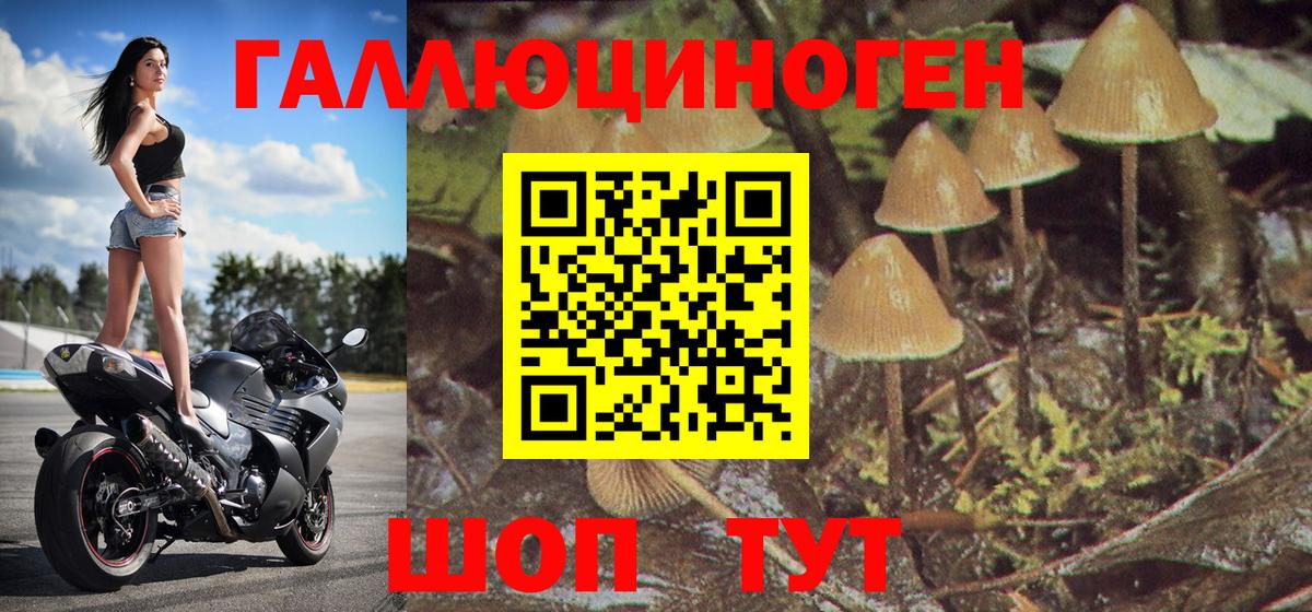 Печора  Галлюциногенные грибы MAGIC MUSHROOMS  Вход с VPN 